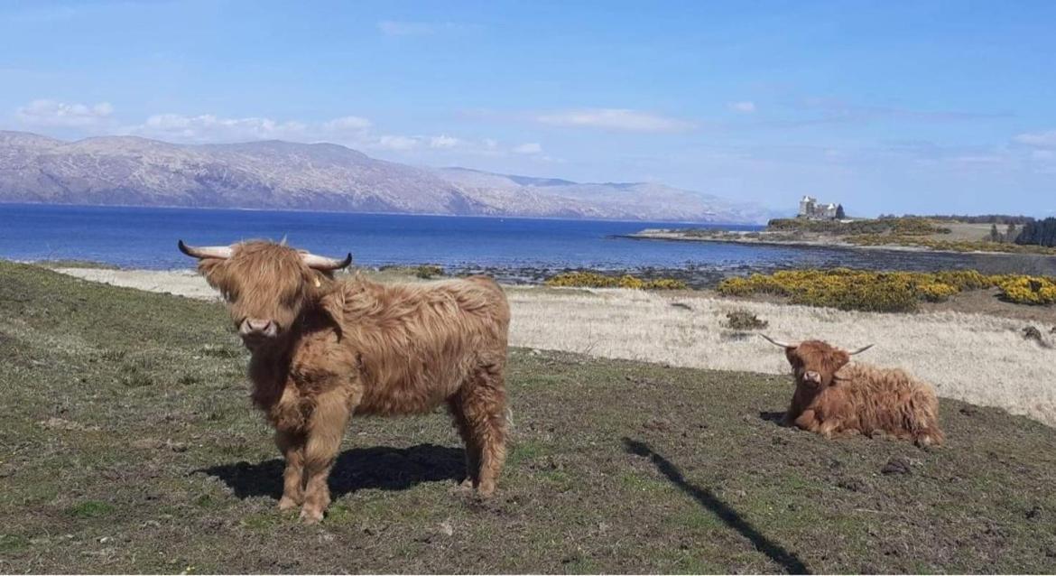 Ard Na Mara Self Catering Isle Of Mull Villa Dervaig Exteriör bild
